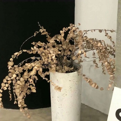 兽设海洋元素设计兽圈群